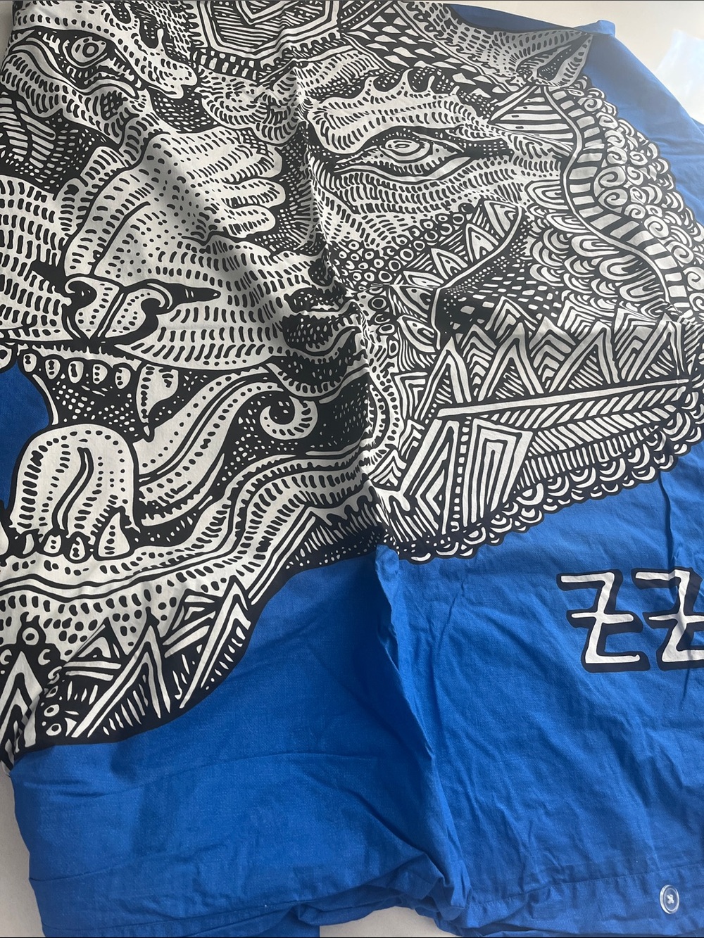 PB teen twin duvet cover, Zio Ziegler